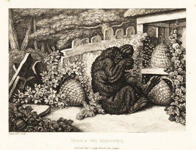 En brunbjörn attackerad av en armé av bin. 1811 (etsning) av Samuel Howitt