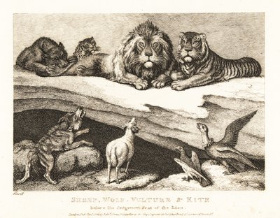 Ett rättsfall mellan djur, med lejon och tiger som domare. 1811 (etsning) av Samuel Howitt