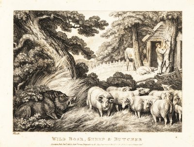 En flock får väntar på slakt av en slaktare. 1811 (etsning) av Samuel Howitt