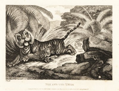 En räv tittar på en skadad tiger. 1811 (etsning) av Samuel Howitt