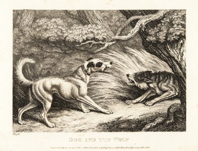 En hushund i halsband erbjuder mat till en svältande varg. 1811 (etsning) av Samuel Howitt