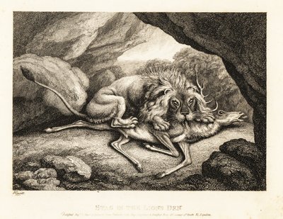 Ett lejon som äter kadavret av en hjort i en grotta. 1811 (etsning) av Samuel Howitt