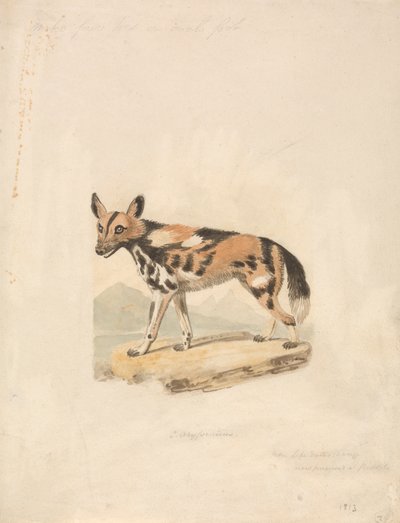 Abessinier hund av Samuel Howitt