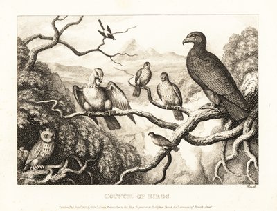 En örn presiderar över en fågelgård i ett träd. 1811 (etsning) av Samuel Howitt