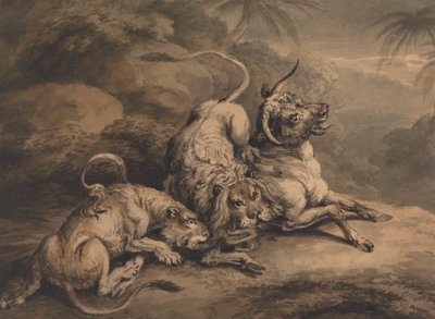 Lejon och lejoninna attackerar en stut av Samuel Howitt