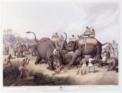 Den döda tigern; Mort du tigre, 1807 av Samuel Howitt