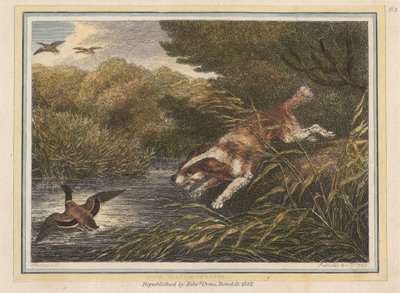 Vattenspanieln av Samuel Howitt