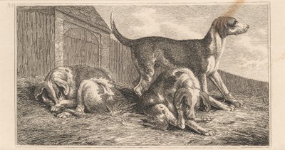 Tre hundar av Samuel Howitt