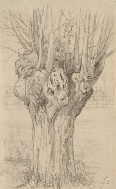 Knotiga träd, 1884 (grafit på gulfärgat papper) av Samuel Isham