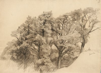 Landskap med träd, 1884 (kol på gulfärgat papper) av Samuel Isham
