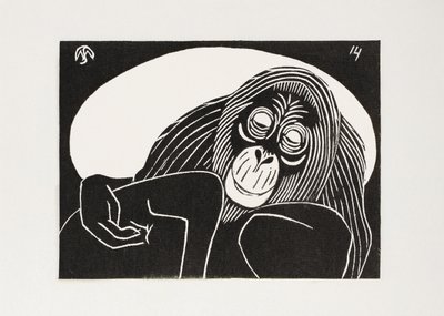 Orangutang av Samuel Jessurun de Mesquita
