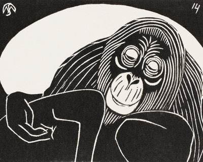 Orangutang av Samuel Jessurun de Mesquita