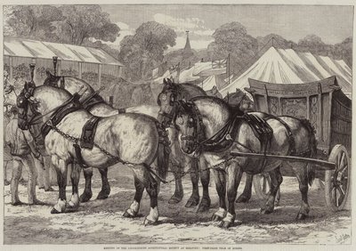 Möte för Lincolnshire Agricultural Society i Sleaford, First-Price Team of Horses av Samuel John Carter