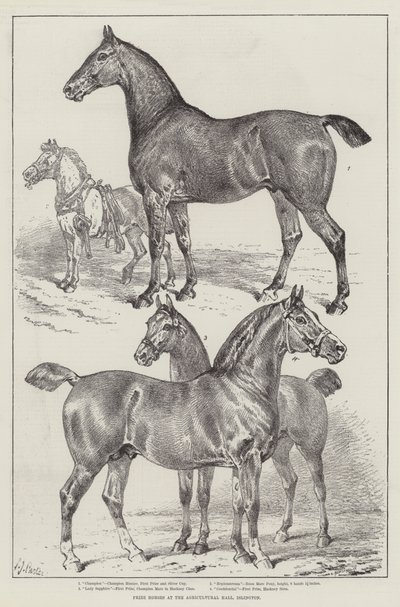 Prishästar på Agricultural Hall, Islington av Samuel John Carter