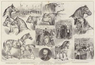 Skisser vid Royal Agricultural Society