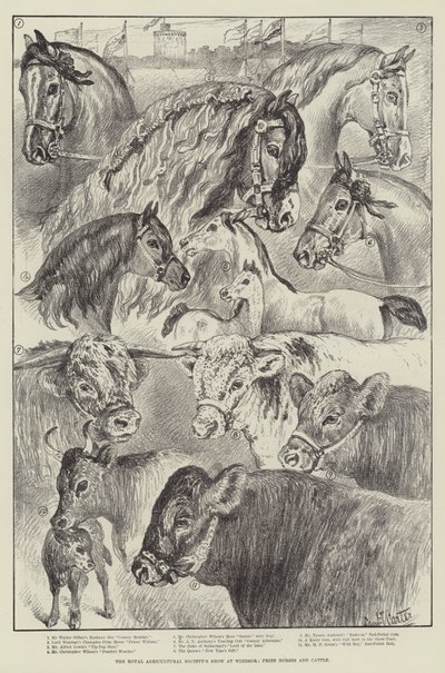 Royal Agricultural Society