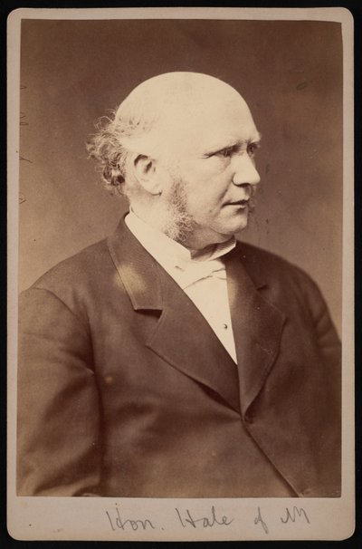 Porträtt av Robert Safford Hale 1822-1881, före 1881. av Samuel Montague Fassett