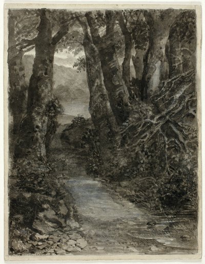 En skogsstudie av Samuel Palmer