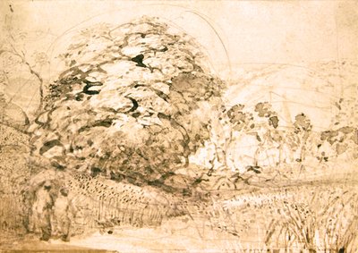 En stig genom ett sädesfält, ca 1832-33 (akvarell på papper) av Samuel Palmer