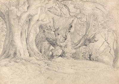 Forntida träd, Lullingstone Park av Samuel Palmer