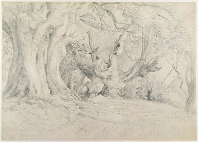 Ancient Trees, Lullingstone Park, 1828 (grafit på papper) av Samuel Palmer