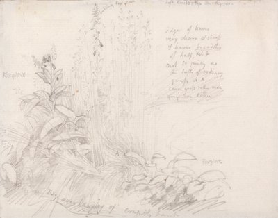 Foxgloves av Samuel Palmer