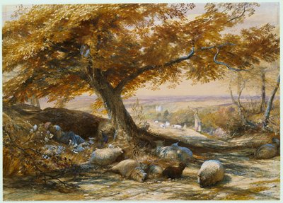 Får i skuggan, ca 1851 av Samuel Palmer