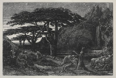 Cypress Grove, 1883. av Samuel Palmer