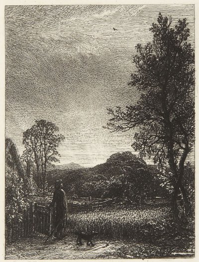 Sånglärkan av Samuel Palmer