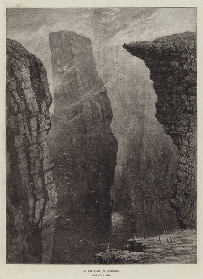 På kusten av Caithness av Samuel Read
