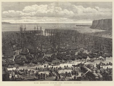Wick Harbour under sillfisket av Samuel Read