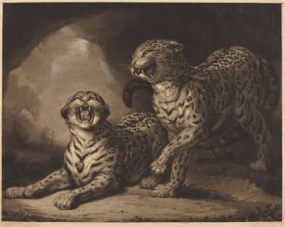 Leoparder av Samuel William Reynolds I after James Northcote