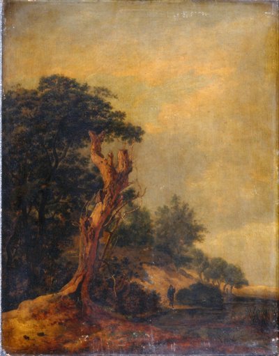 Landskap i imitation av Jacob Ruisdael av Samuel Woodburn
