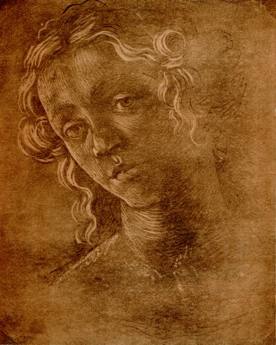Kvinnligt huvud av Sandro Botticelli