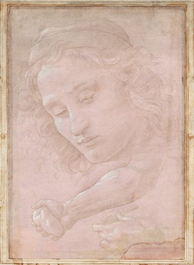 Chef för en ungdom som bär en keps; en höger underarm med handen som griper en sten; och en vänsterhand som håller ett draperi av Sandro Botticelli