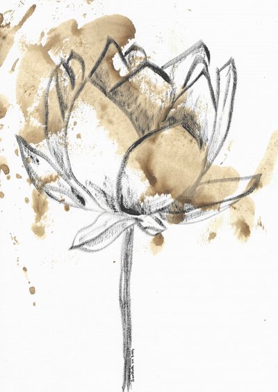 Kaffefläckad lotusblomma av Santhosh ch