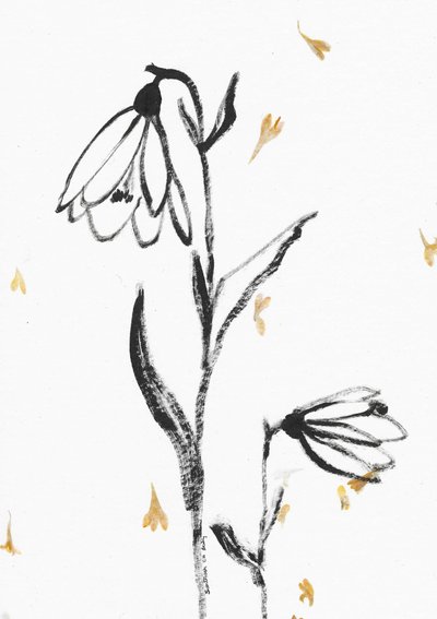 Skir blomsterskiss av Santhosh ch