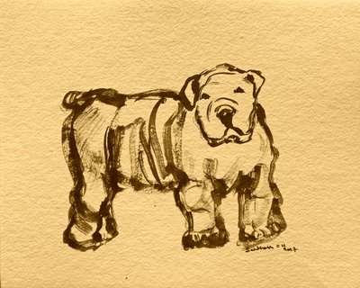 Uttrycksfull bulldoggskiss av Santhosh ch