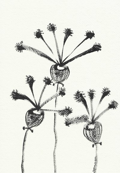 Minimalistisk botanisk teckning av Santhosh ch