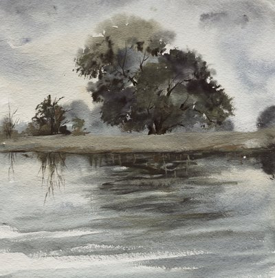 Reflektioner vid Misty Tree av Santhosh ch