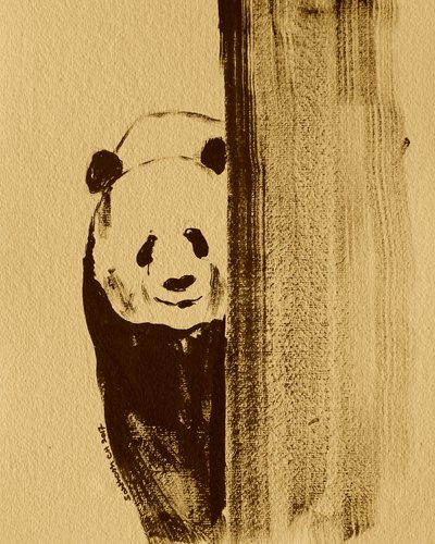 Blyg panda som kikar fram av Santhosh ch