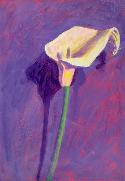 Arumlilja (olja på kartong) av Sara Hayward