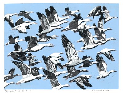 Eschers inspiration, 2017 (linoleumsnitt) av Sarah Drummond