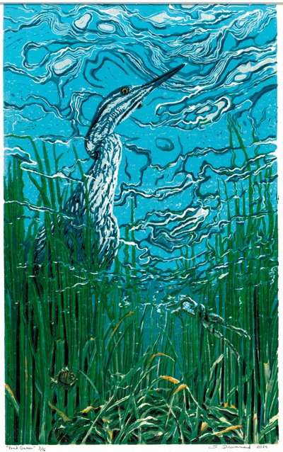 Pond Gazer, 2024 (Linoleumsnitt) av Sarah Drummond