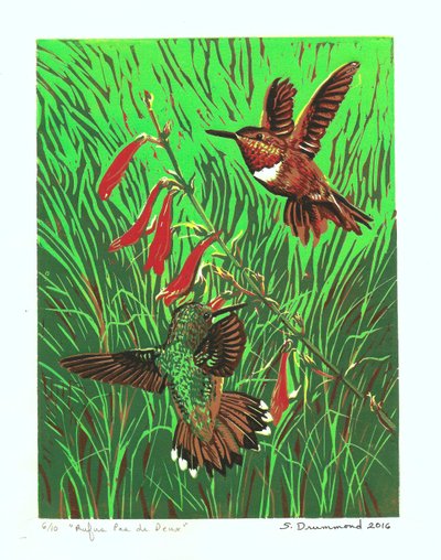 Rufus Pas de Deux, 2016 (Linoleumsnitt ) av Sarah Drummond