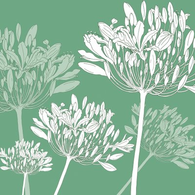 Agapanthus breeze, 2005 (digital) av Sarah Hough