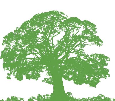 Climbing Tree, 2009 (digitalt) av Sarah Hough