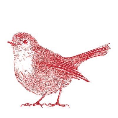 Robin, 2017 av Sarah Hough