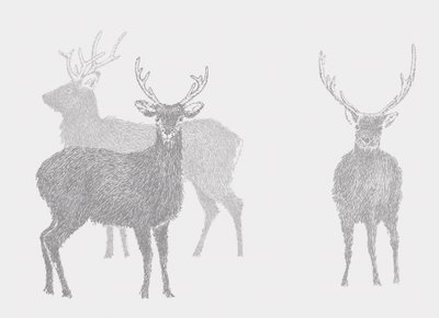 Sika Deer, 2017 av Sarah Hough