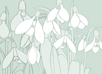 Snödroppar, 2017 av Sarah Hough
